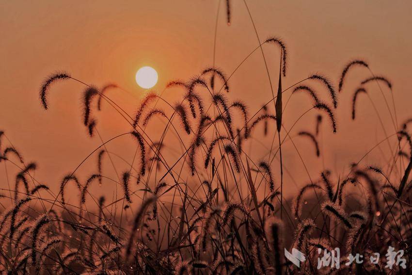 日落時的心情，只有微風和晚霞