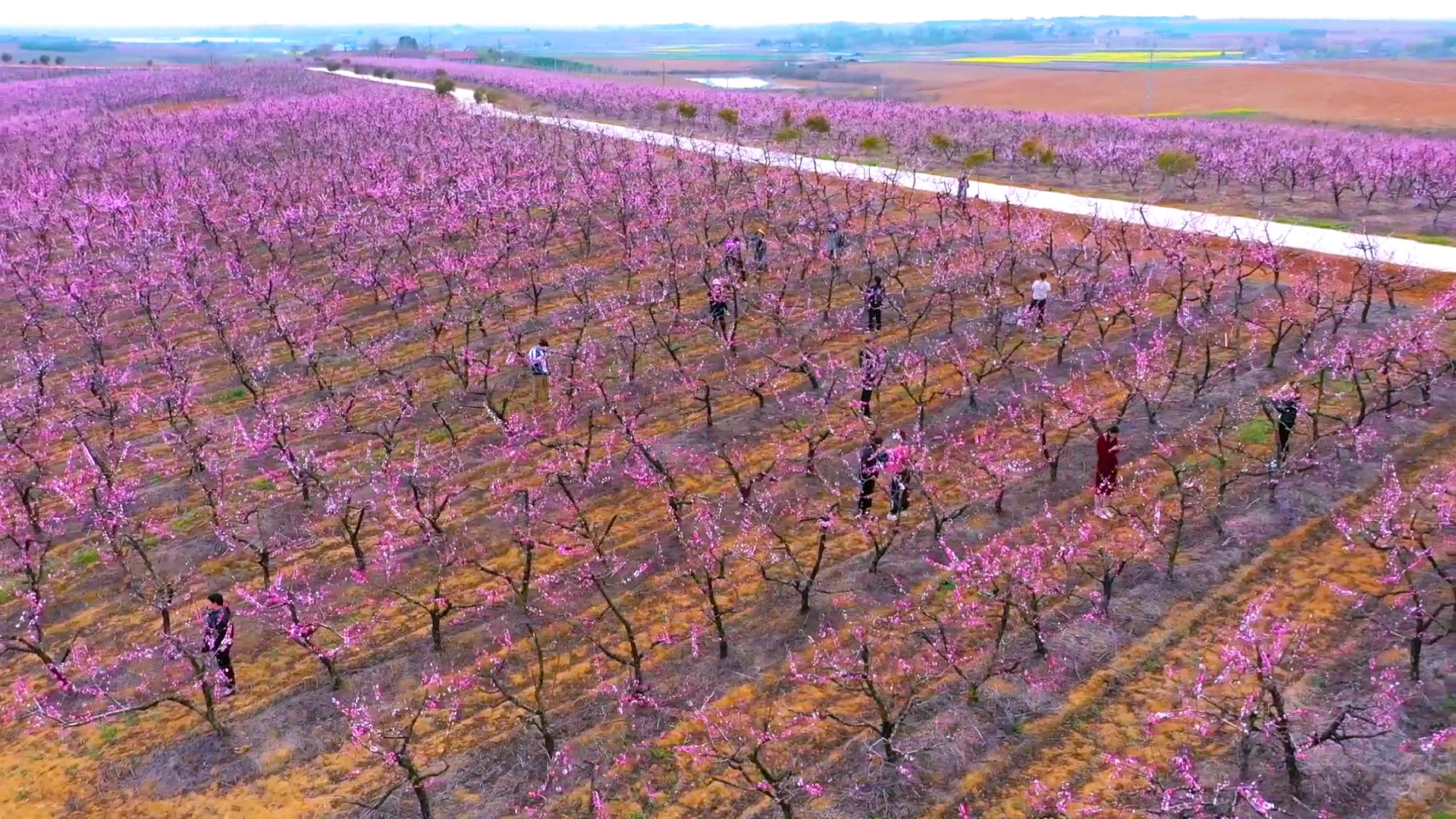 Videoframe_20230316_104935_com