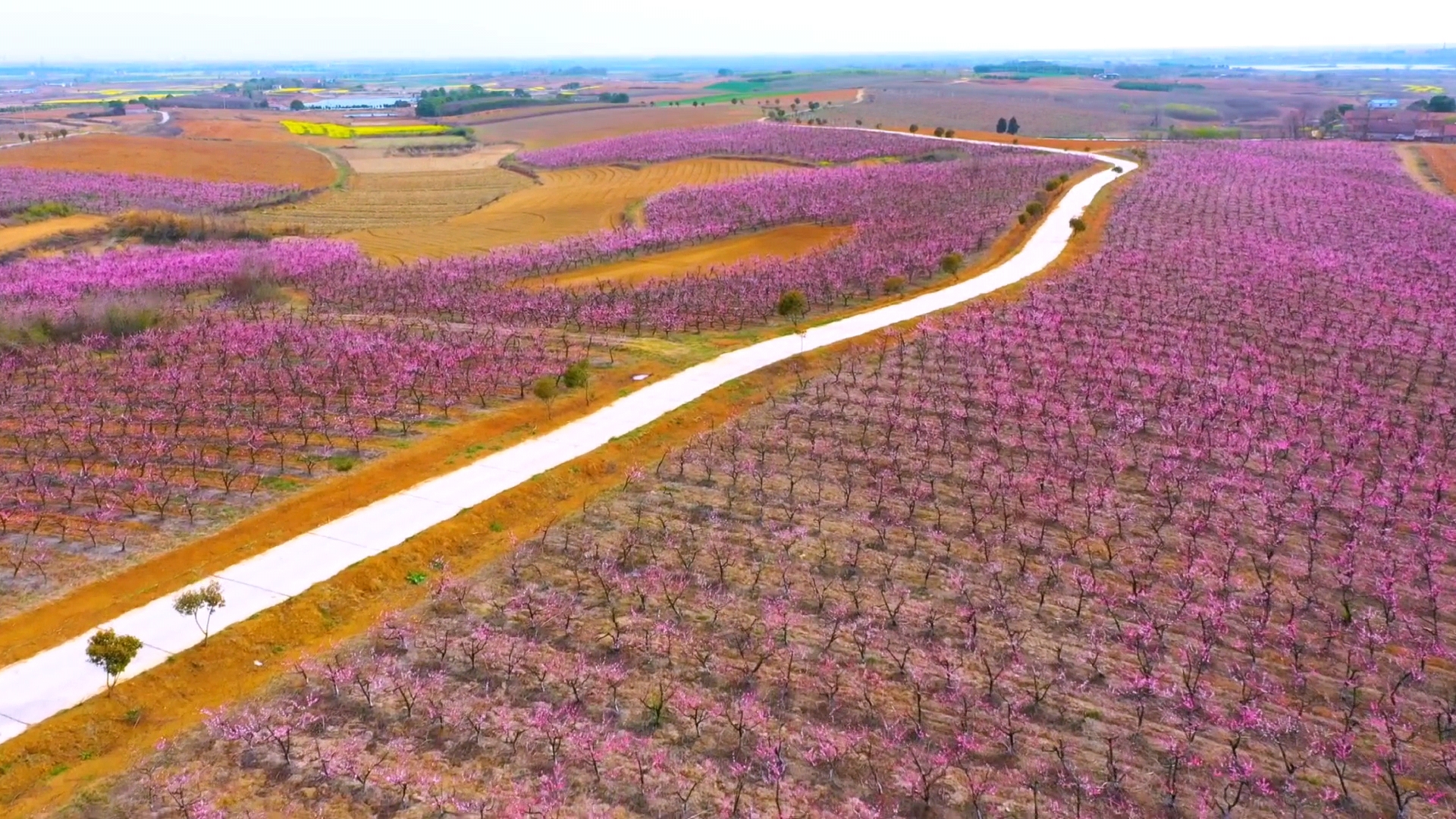 Videoframe_20230316_104928_com