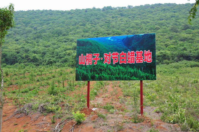 75b7090b-c6cb-4d4a-87c2-af487e0539cf 75b7090b-c6cb-4d4a-87c2-af487e0539cf