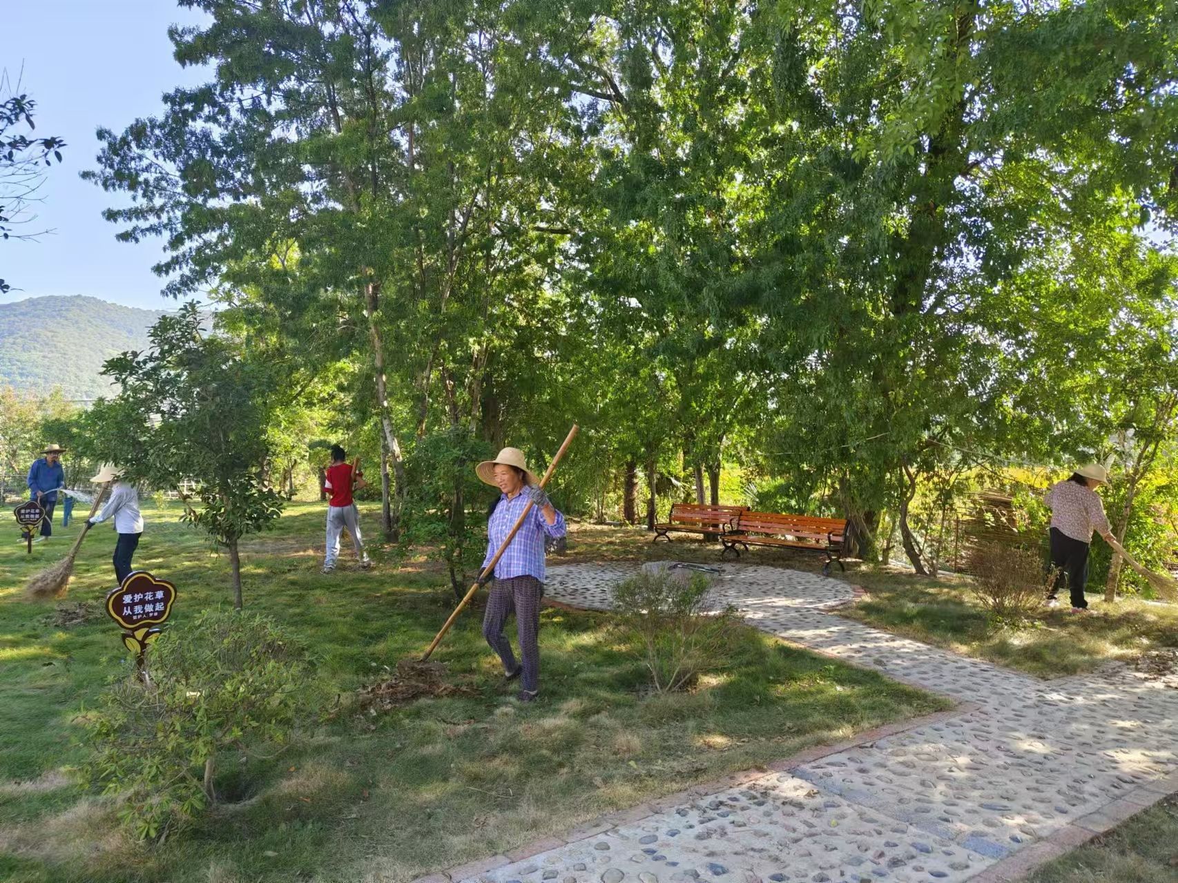 Img5ec502bb2d354a8baf1ddd7deea7a54c