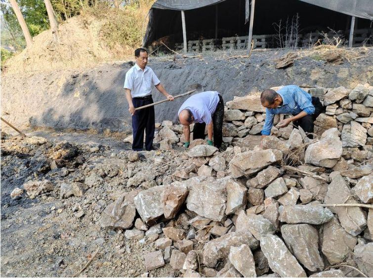 Img464d787669c4472097f67d38d97e9895