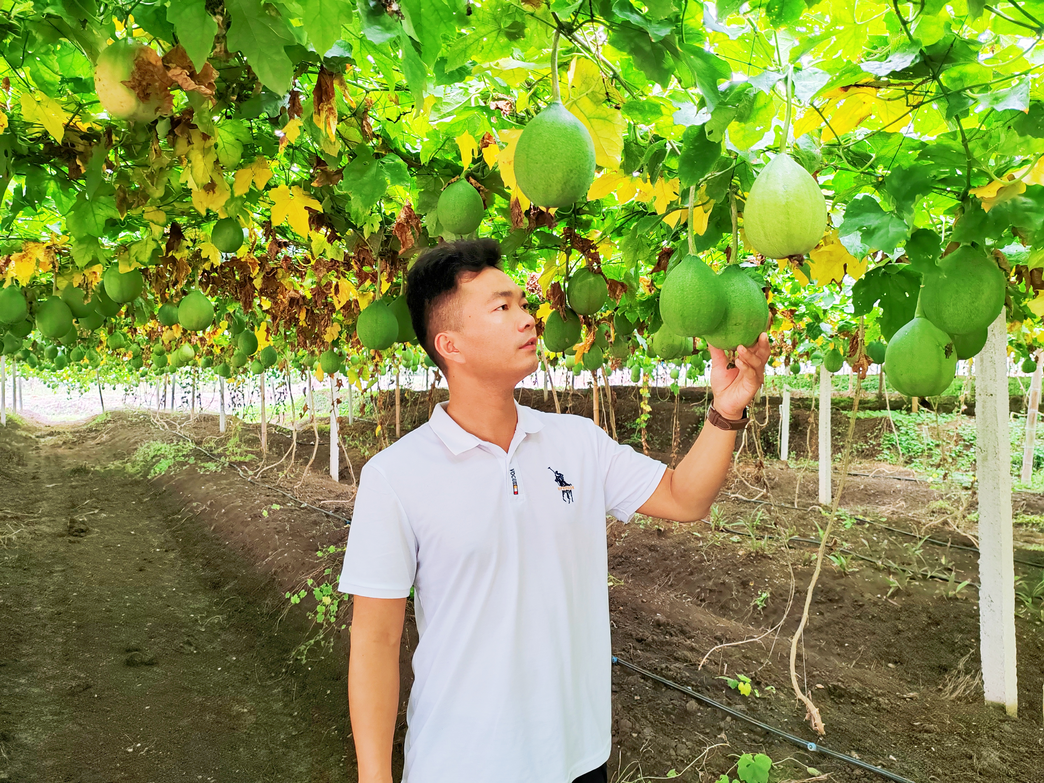 微信圖片_20250110114202 微信圖片_20250110114202