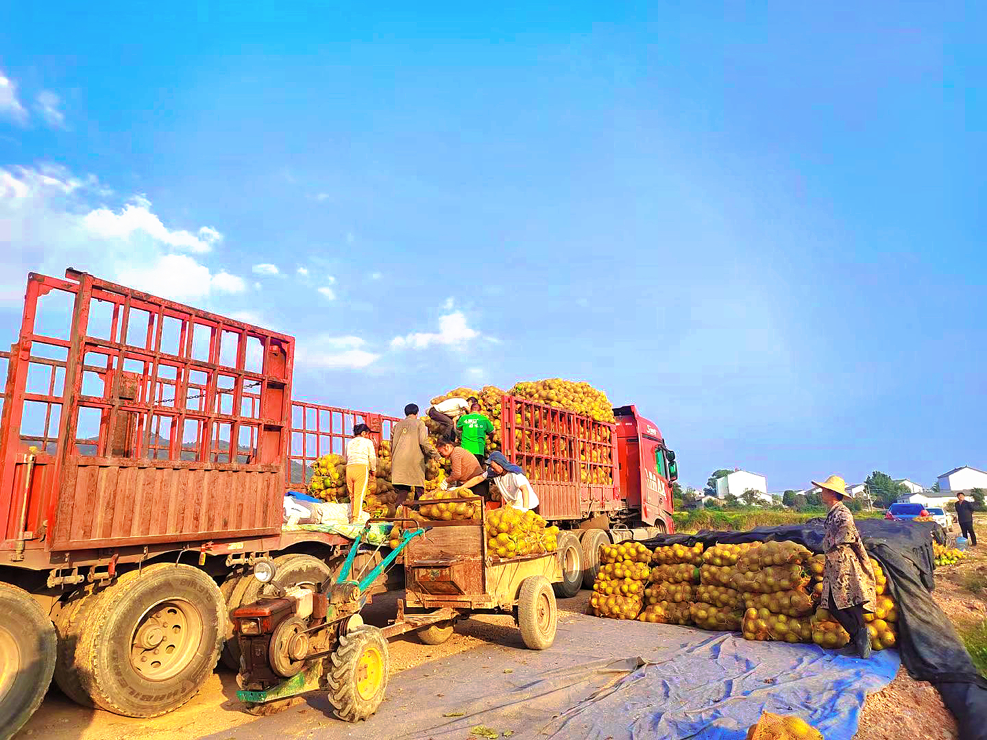 微信圖片_20250110114236 微信圖片_20250110114236