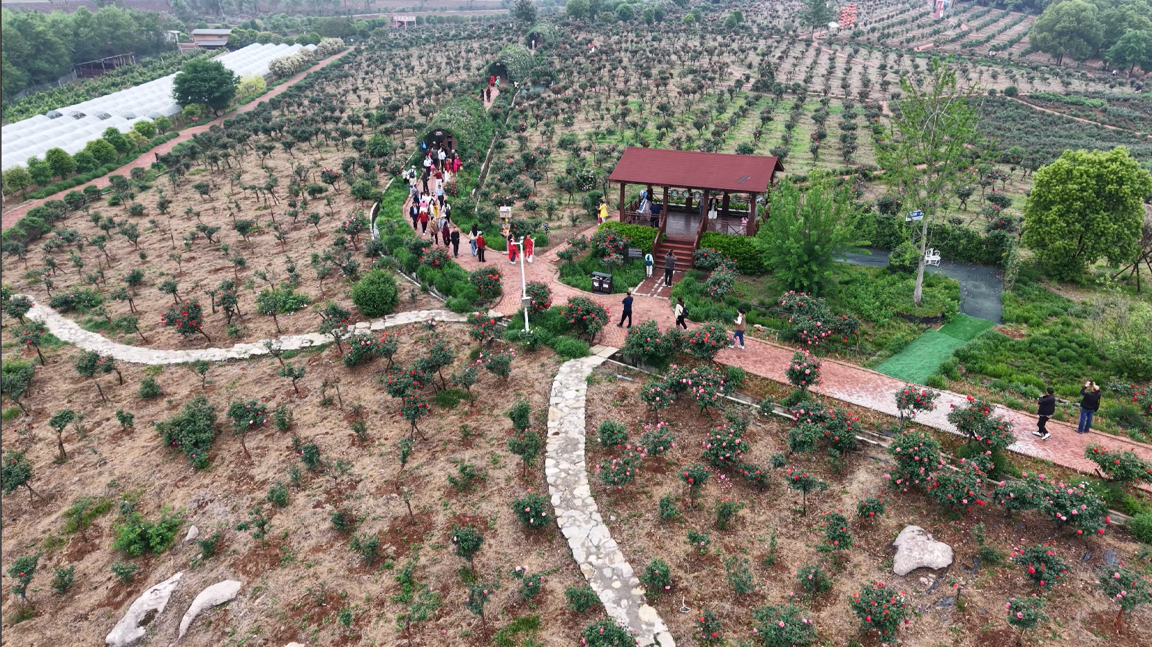 900720d3032347b8ae2149c79298aa79_image 900720d3032347b8ae2149c79298aa79_image